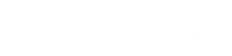 navaro-logo-option-08-white-final-cropped.png